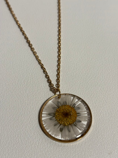 Collier pâquerette